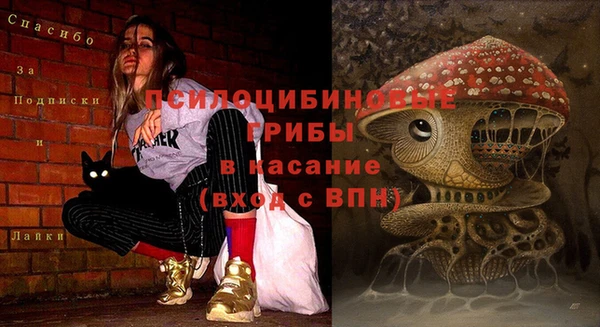 метадон Вяземский