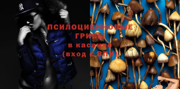 прущие крисы Нязепетровск