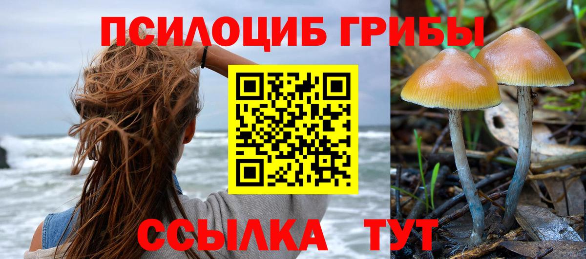 Псилоцибиновые грибы прущие грибы Аша