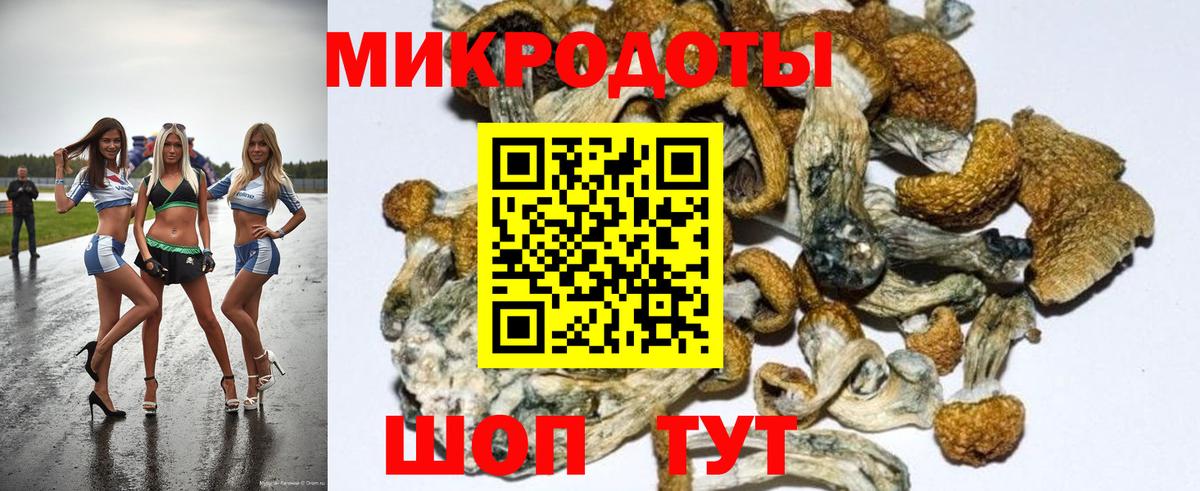 даркнет сайт  Аша  Галлюциногенные грибы Psilocybine cubensis 